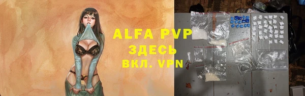 амф Беломорск