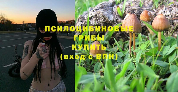 тгк Баксан